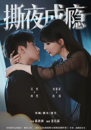撕夜成瘾（74集）短剧推荐上热门
