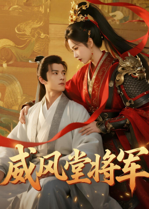 威风堂将军（40集）全集一次看完