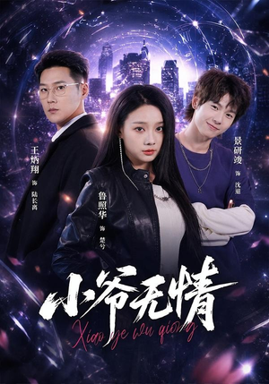 小爷无情（75集）排行榜前十短剧