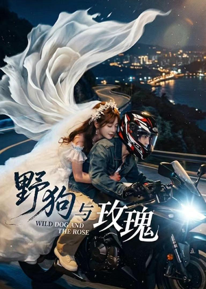 野狗与玫瑰(30集) 野狗与玫瑰(30集)热门短剧推荐