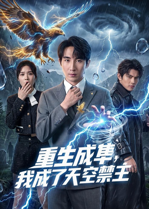 重生成隼，我成了天空禁主（68集）精彩短剧下载