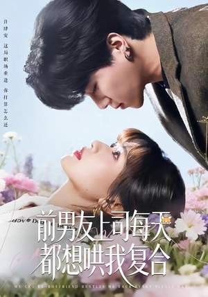 前男友上司每天都想哄我复合（77集）红果免费看短剧