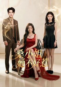 桑小姐她不好惹(103集) 桑小姐她不好惹(103集)免费看全网短剧