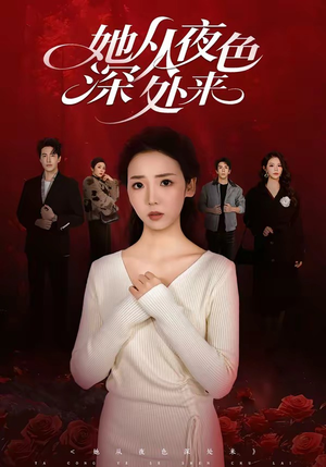 她从夜色深处来（62集）在线免费观看