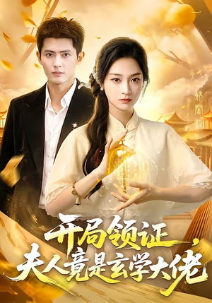 开局领证，夫人竟是玄学大佬（95集）在线观看全集