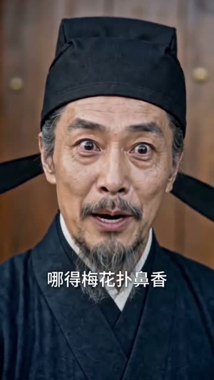臣本布衣，为何逼我称帝（78集）短剧小说在线看