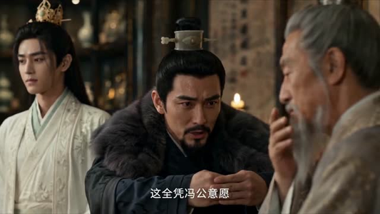 魏家孽种成首辅分宗篇(90集)短视频追剧推荐