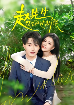 赵先生结婚证过期不候（50集）每日短剧分享