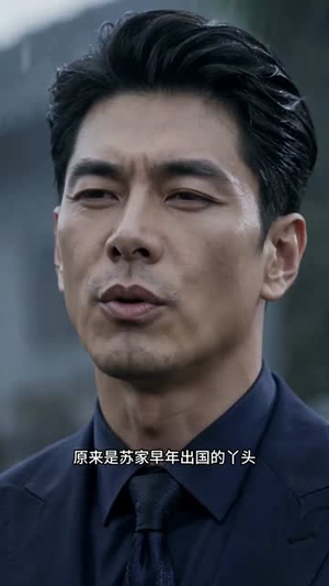 瓷骨匠心（33集）直接看到大结局