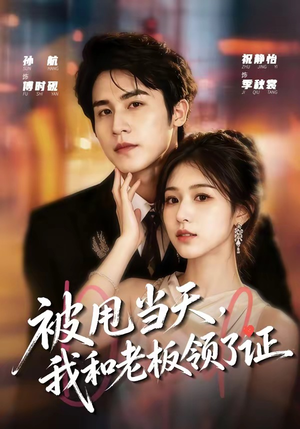 被甩当天，我和老板领了证（80集）小短剧抢先看