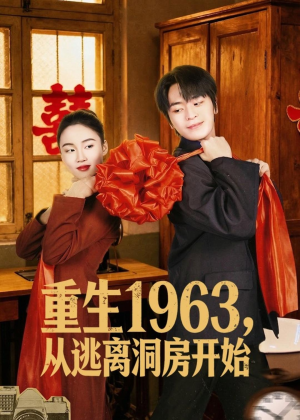 重生1963，从逃离洞房开始（70集）好看到停不下来