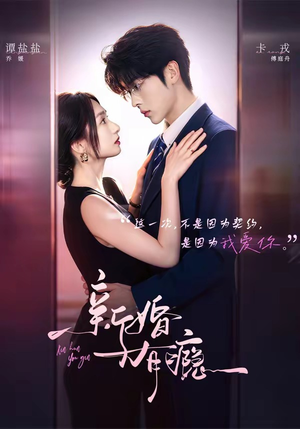 新婚有瘾（83集）热播短剧全集看