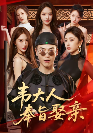 韦大人奉旨娶亲（81集）免费短剧看不停