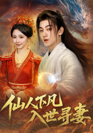 仙人下凡，入世寻妻（61集）全集
