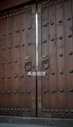 双影芳华（60集）短剧全集免费看