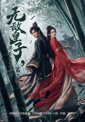 无敌皇子,开局迎娶女杀神第二季（80集）全集免费