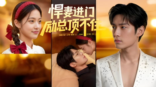 悍妻进门励总顶不住1080P（55集）短剧在线看