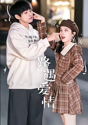 路遇爱情（12集）最新热剧免费看