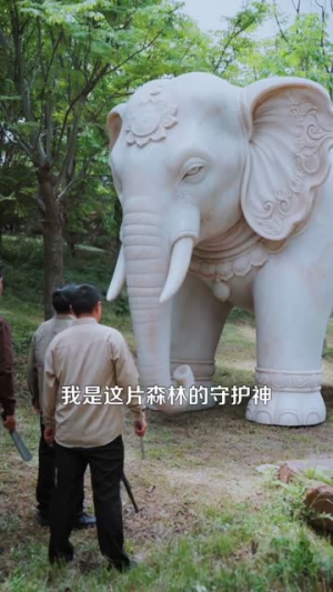 我有一张藏宝图（101集）夸克在线观看