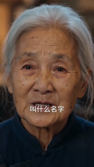 这个少帅有点茶（52集）短剧