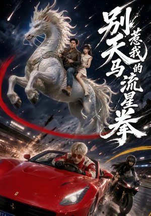 别惹我的天马流星拳（40集）一起追短剧吧