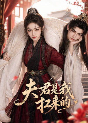 夫君是我扛来的（20集）精彩的网络短剧