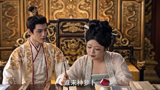黑壮端妃镇后宫（66集）精彩不断免费看