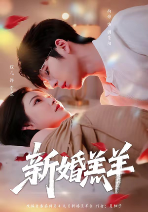 新婚羔羊（89集）精彩短剧热播中