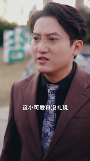 暖阳未散雪亦归（74集）精彩短剧抢先看
