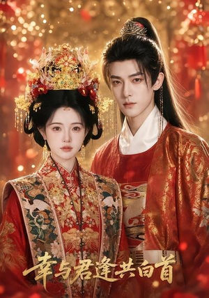 幸与君逢共白首（79集）精彩短剧上线