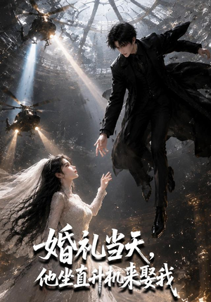 婚礼当天，他坐直升机来娶我（65集）高清无码免费看