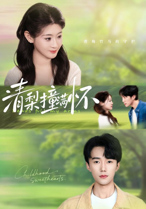 清梨撞满怀(77集) 清梨撞满怀(77集)短剧免费看全集