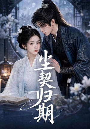 尘契归期（63集）热门短剧又来了
