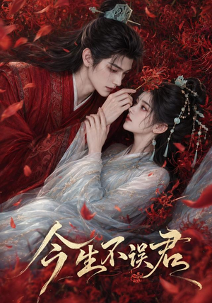 今生不误君(106集) 今生不误君(106集)全集在线看