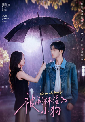 被雨淋湿的小狗(80集) 被雨淋湿的小狗(80集)热门短剧推荐