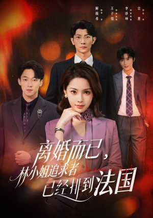 离婚而已,林小姐追求者已经排到法国(60集) 离婚而已,林小姐追求者已经排到法国(60集)精彩连连免费看
