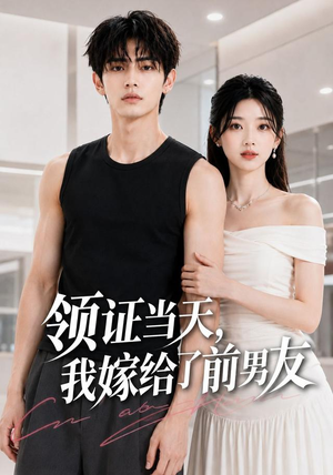 领证当天，我嫁给了前男友（44集）追风的女孩短剧