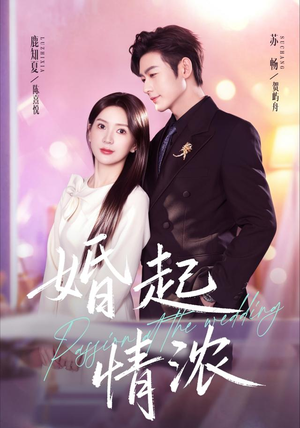 婚起情浓（99集）爆款短剧抢先看