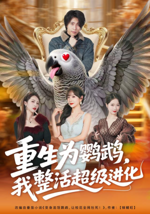 重生为鹦鹉，我整活超级进化（70集）短剧太好看