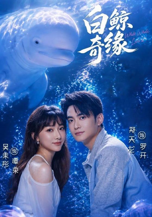 白鲸奇缘(52集) 白鲸奇缘(52集)原创精彩短剧