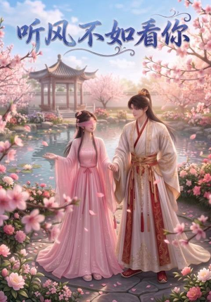 听风不如看你（30集）短剧全集免费