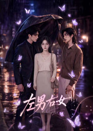 左男右女（63集）视频在线看