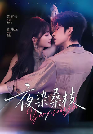 夜染桑枝（73集）网盘在线观看