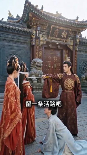 窥心盲妃(49集) 窥心盲妃(49集)看到了大结局
