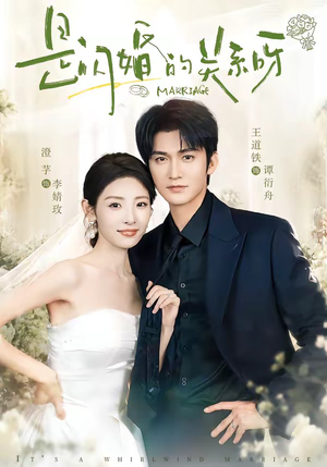 是闪婚的关系呀(63集) 是闪婚的关系呀(63集)河马免费短剧