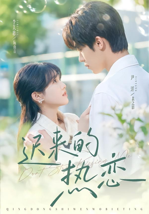 迟来的热恋(80集) 迟来的热恋(80集)全部免费看全集