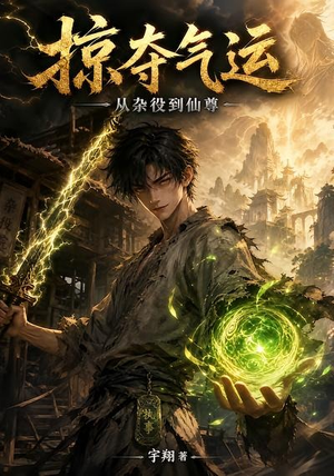 掠夺气运：从杂役到仙尊（101集）网盘在线观看