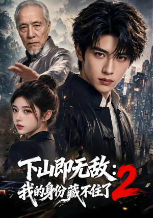 下山即无敌：我的身份藏不住了2（104集）高清画质免费看