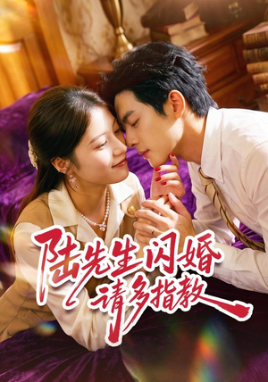 陆先生闪婚请多指教(53集) 陆先生闪婚请多指教(53集)短剧更新抢先看