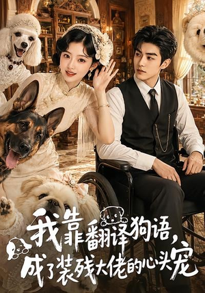 我靠翻译狗语，成了装残大佬的心尖宠（80集）好看到停不下来